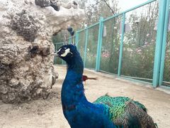 -水上乐园·欢乐世界