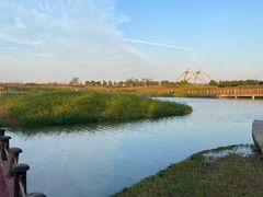 -春花秋色城市公园