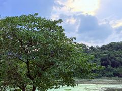 -河姆渡遗址博物馆