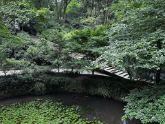 -虎跑公园