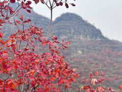 -狼牙山风景区