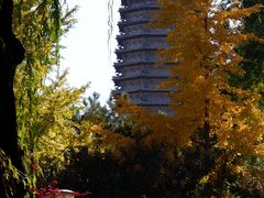 -玲珑塔公园