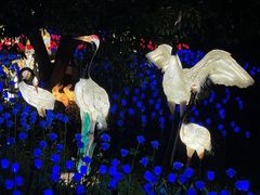 -杭州野生动物世界