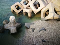 -东疆建设开发纪念公园