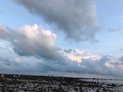 -贝壳沙滩