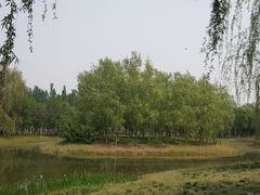 -东郊湿地公园