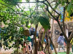 -呀路古热带植物园