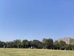 -南宁市凤岭儿童公园