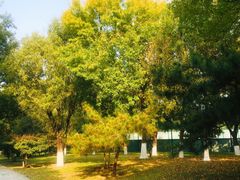 -石榴庄公园
