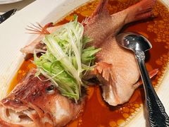 -翠园(北京王府中环店)