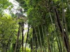 -成都杜甫草堂博物馆