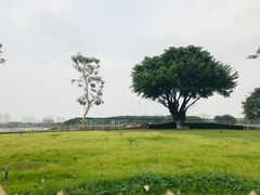 -海珠湖公园