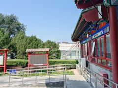-莲花池公园