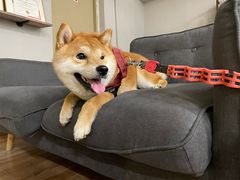 -YCHL Studios健身工作室(市二宫店)
