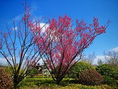 -观唐（国际）度假村温泉