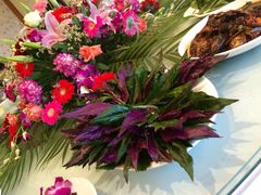 多利农庄有机体验馆-上海多利农业发展有限公司