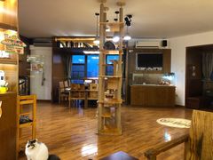 大堂-喵园·猫主题咖啡厅·撸猫·猫咖(国贸店)