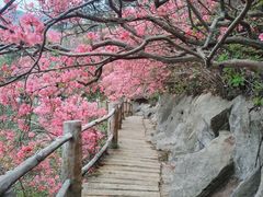 -木兰云雾山
