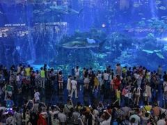 -成都浩海立方海洋公园