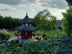 -莲池书院博物馆