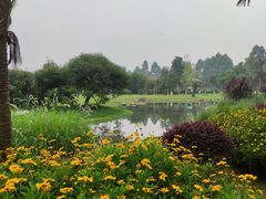 -夏河溪乡野公园
