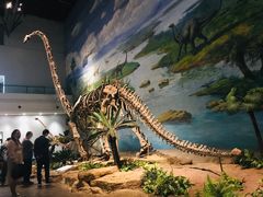 -自贡恐龙博物馆