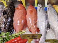 -厝包四点金·潮宴(太古仓店)