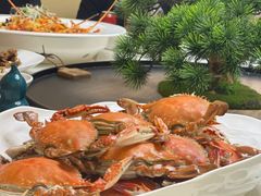 -南山酒肆(南山董事绘店)