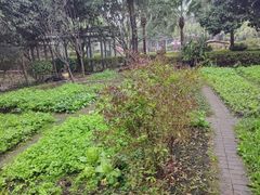 -故乡缘·香格里拉山庄(冷竹路店)