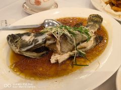 清蒸老虎斑-稻香酒家(天河城店)