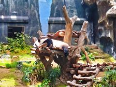 -香港海洋公园