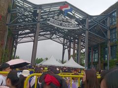 -上海国际音乐村