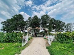 -安德鲁户外烧烤帐篷营地(马泉营店)