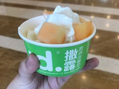 -Salud撒露欧洲冻酸奶(蓝色港湾店)