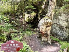 -汤旺河林海奇石景区