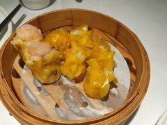 -老伙记海鲜码头(北滘店)