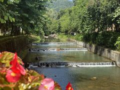 -广州白江湖森林公园