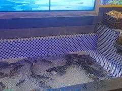 -山河屯铁锅炖鲜鹅·东北菜(开发区一店)