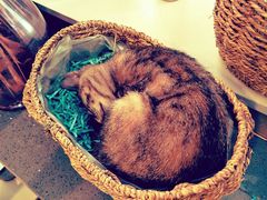 -时光转角咖啡馆(西康路店)