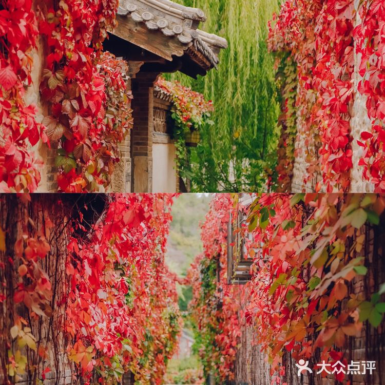 京郊团建|2h即可到达的最美红叶秋景·古北水镇