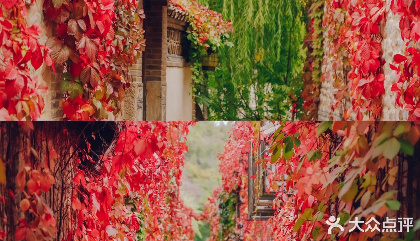 京郊团建｜2h即可到达的最美红叶秋景·古北水镇