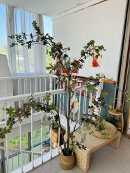 -BabyA 专业婴童摄影(古北时尚广场店)