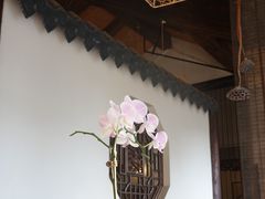-煮雨小筑(斜塘老街店)