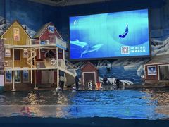 -西安曲江海洋极地公园