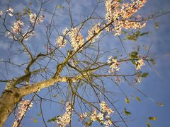 -白石龙音乐公园