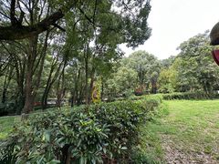 -WeLope紫金山探险公园
