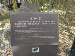 -包公祠