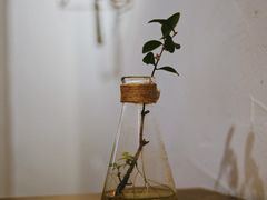 -MAISON门前杂货店