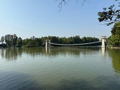 -东湖落雁景区