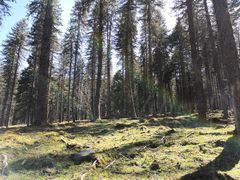 -硗碛藏寨·神木垒景区